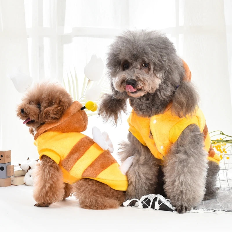 Déguisement abeille peluche pour chien
