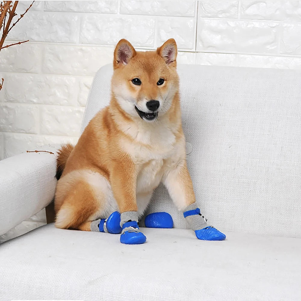 Chaussettes antidérapantes mignonnes pour chien
