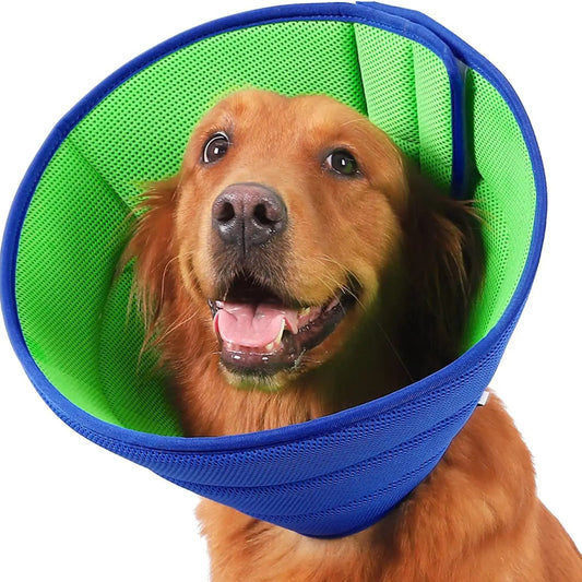 Collerette Pour Chien Conique