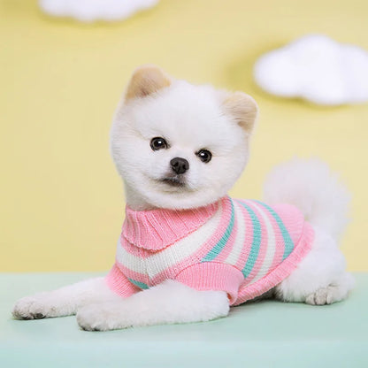 Pull Pour Chien en Maille Tricotée