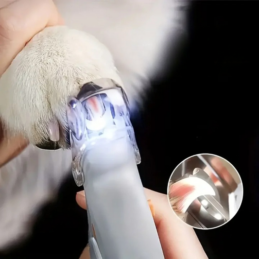 Couple Ongle Chien avec Protection
