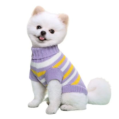 Pull Pour Chien en Maille Tricotée