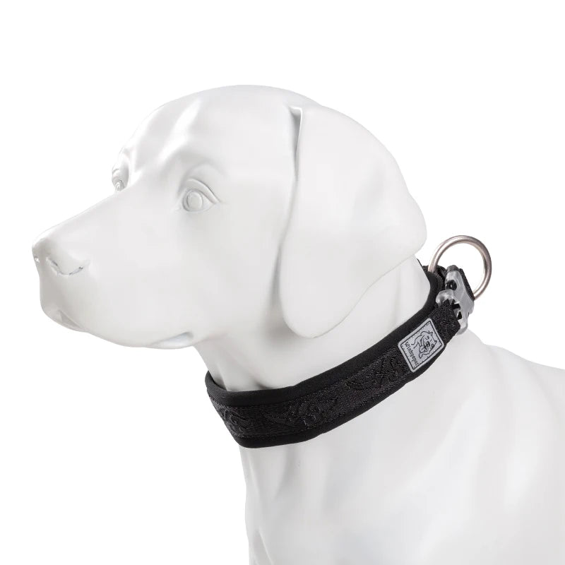 Collier rembourré réglable pour chien