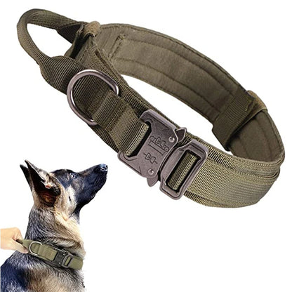 Collier militaire pour chien