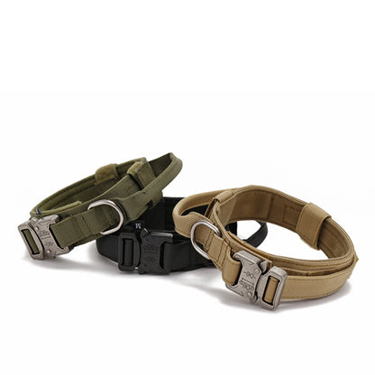 Collier en nylon pour chien