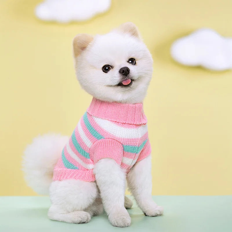 Pull Pour Chien en Maille Tricotée