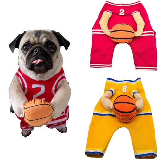 Déguisement de basketball pour chien
