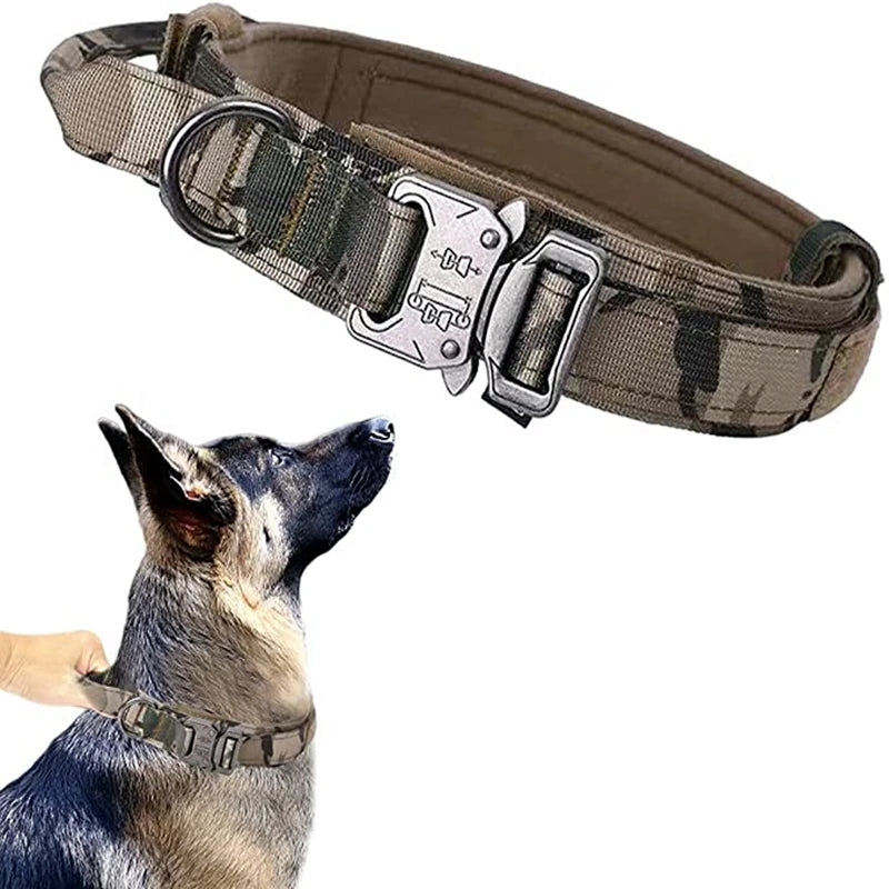 Collier militaire pour chien