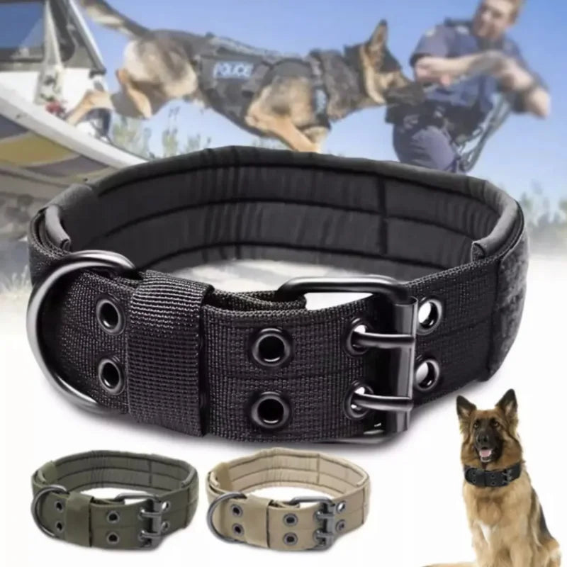 Collier pour chien réglable