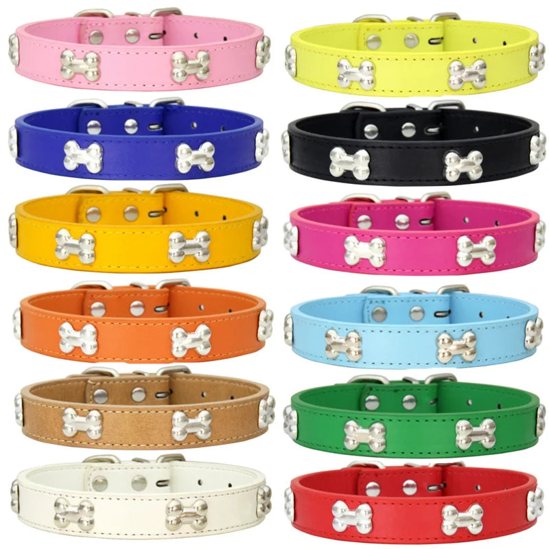 Collier en cuir coloré pour chien