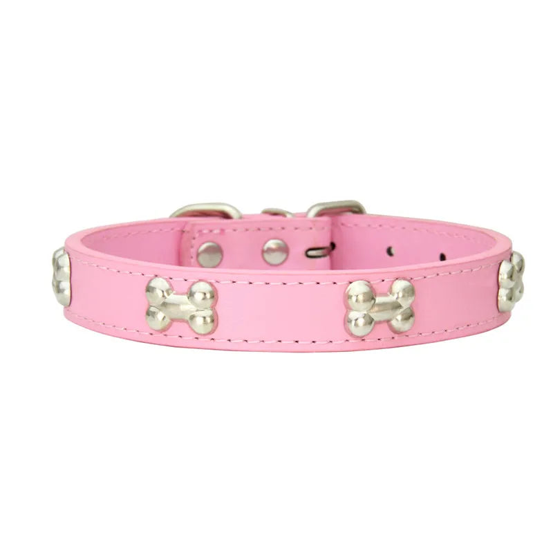 Collier en cuir coloré pour chien