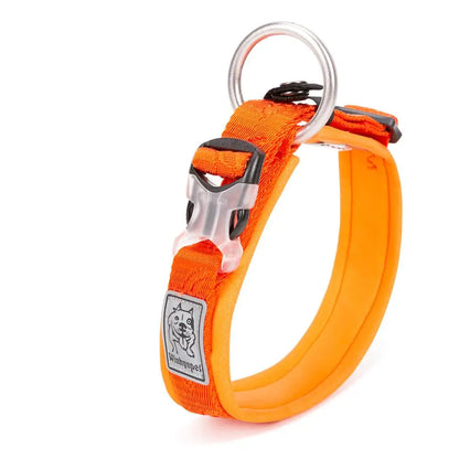 Collier rembourré réglable pour chien