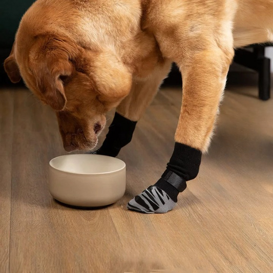 Chaussettes à motif pour chien