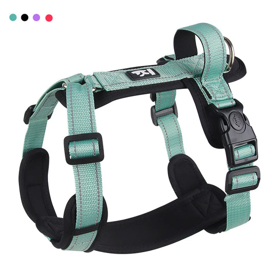 Harnais anti-traction coloré pour chien