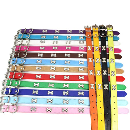 Collier en cuir coloré pour chien