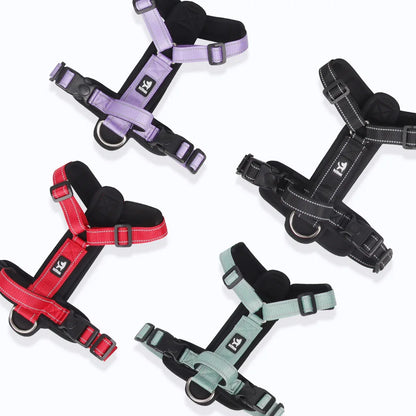 Harnais anti-traction coloré pour chien
