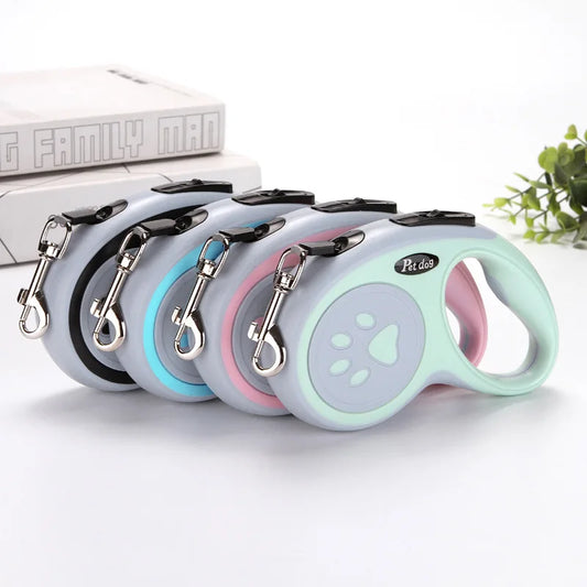 Laisse en nylon pour chien