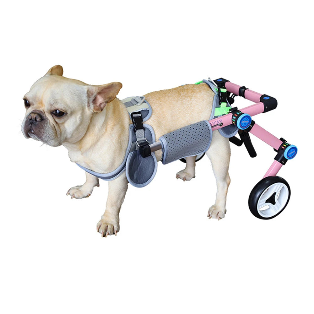 Fauteuil Roulant Pour Chien Léger Réglable