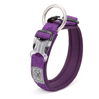 Collier rembourré réglable pour chien