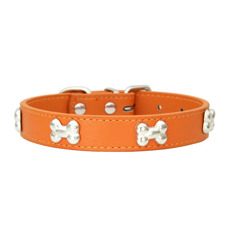 Collier en cuir coloré pour chien