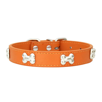 Collier en cuir coloré pour chien