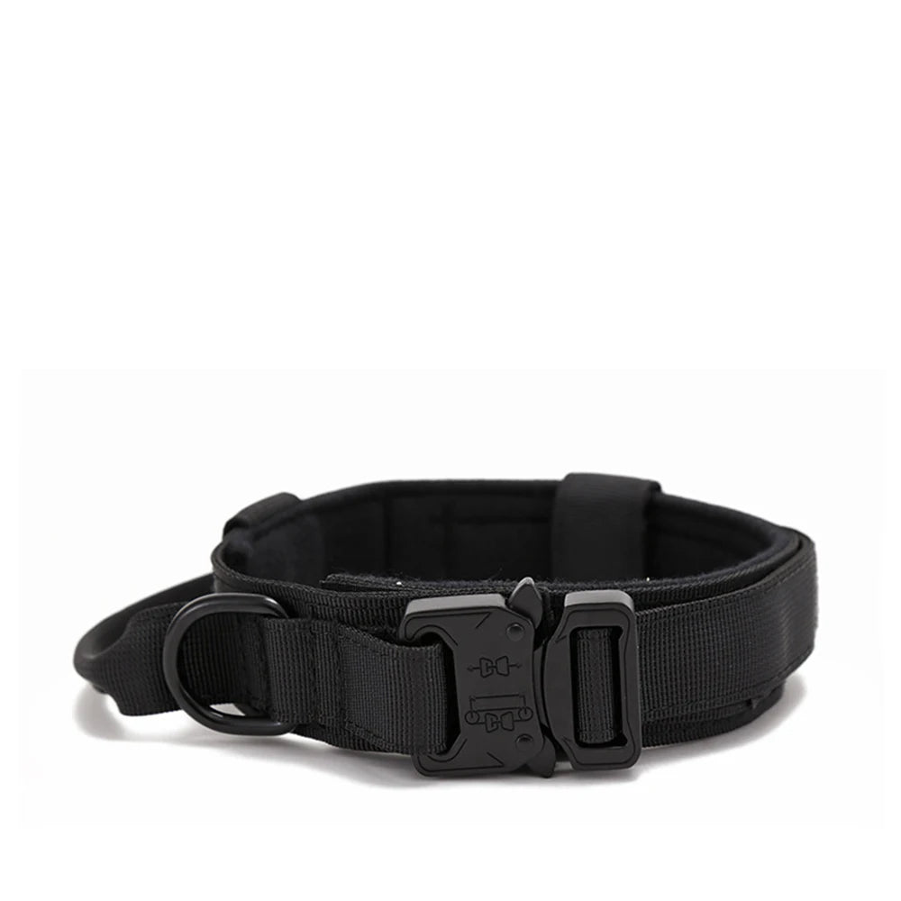 Collier en nylon pour chien