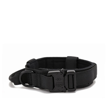 Collier en nylon pour chien