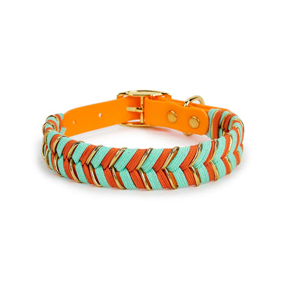 Collier Pour Chien en Cuir