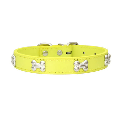 Collier en cuir coloré pour chien