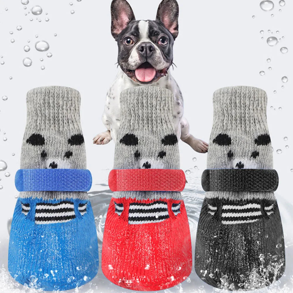Chaussettes réglables colorées pour chien