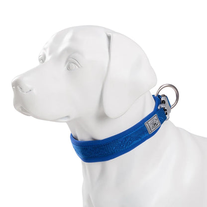 Collier rembourré réglable pour chien
