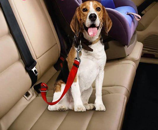 Harnais de Voiture pour Chien en Nylon