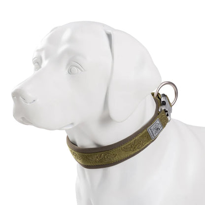 Collier rembourré réglable pour chien