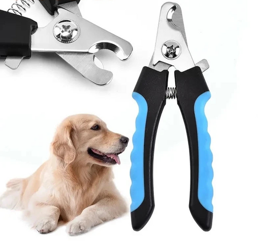 Couple Ongle Chien avec Protection de Sécurité