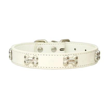 Collier en cuir coloré pour chien