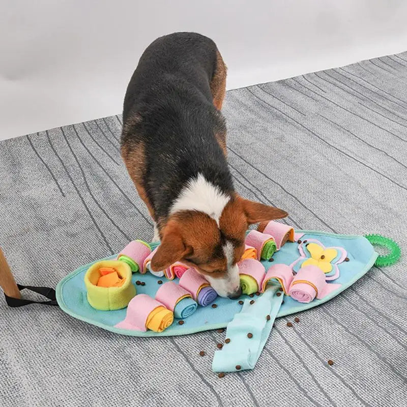 Tapis de fouille lavable pour chien