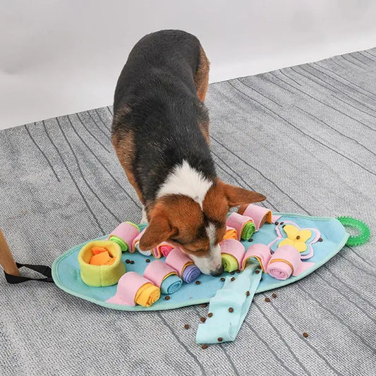 Tapis de fouille lavable pour chien
