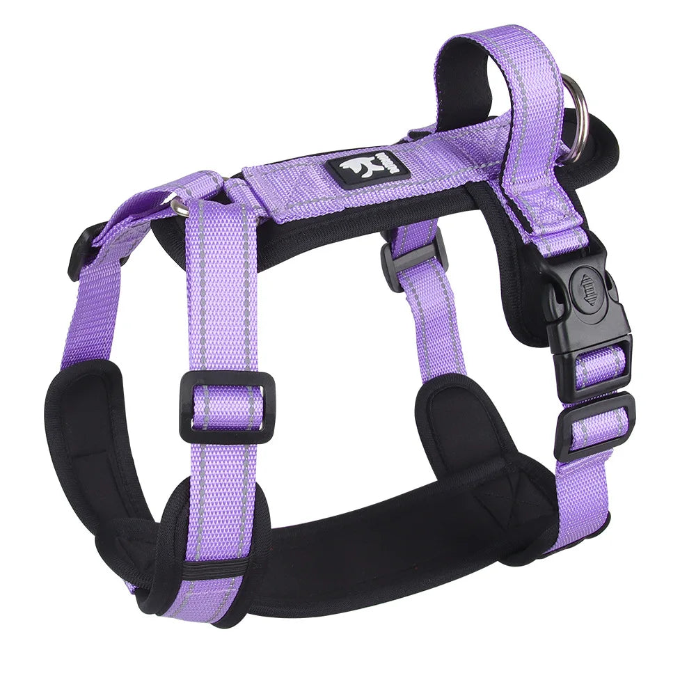 Harnais anti-traction coloré pour chien