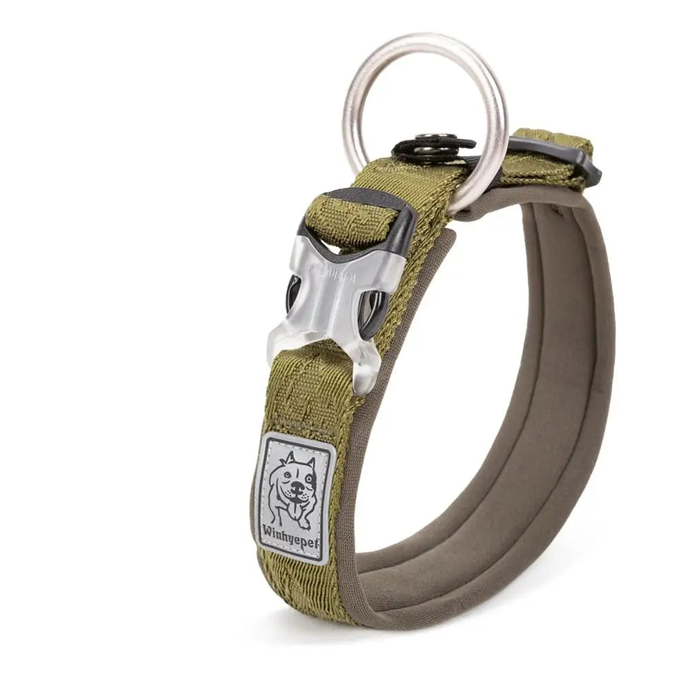 Collier rembourré réglable pour chien