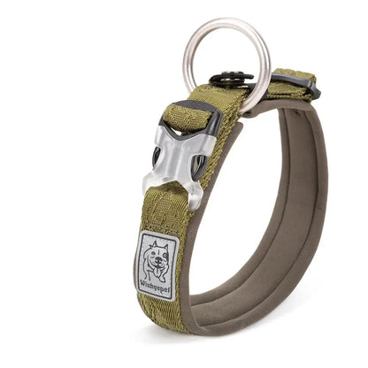 Collier rembourré réglable pour chien