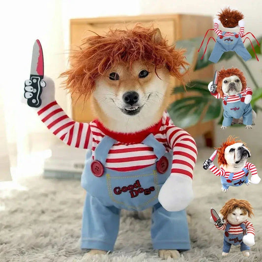 Déguisement pour chien Halloween
