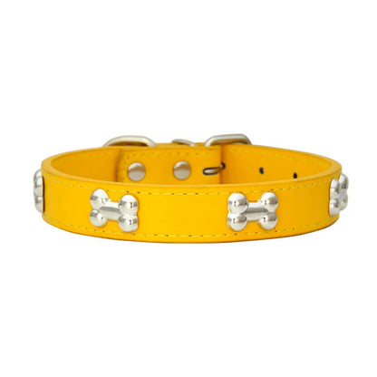 Collier en cuir coloré pour chien