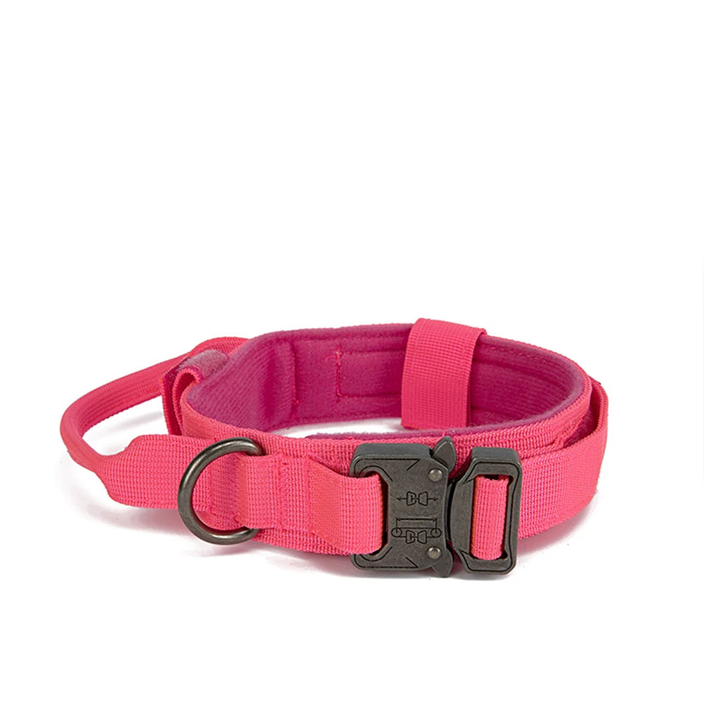 Collier en nylon pour chien