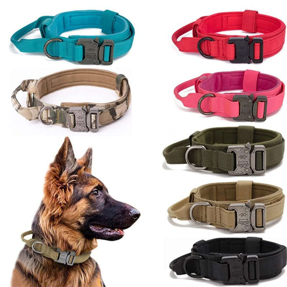 Collier en nylon pour chien