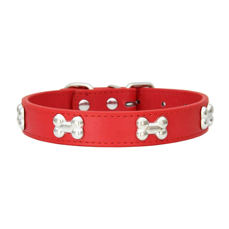 Collier en cuir coloré pour chien
