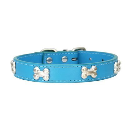 Collier en cuir coloré pour chien