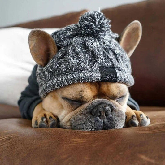 Bonnet d'Hiver Pour Chien