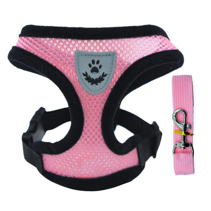 Harnais en maille pour chien