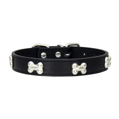Collier en cuir coloré pour chien