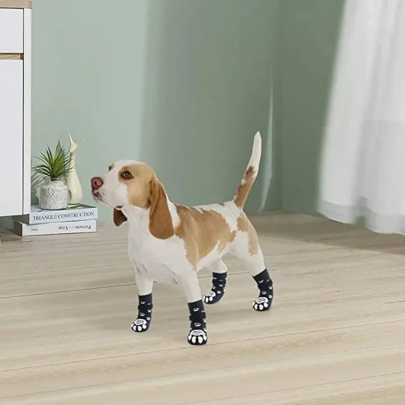 Chaussettes réglables à motif pattes pour chien